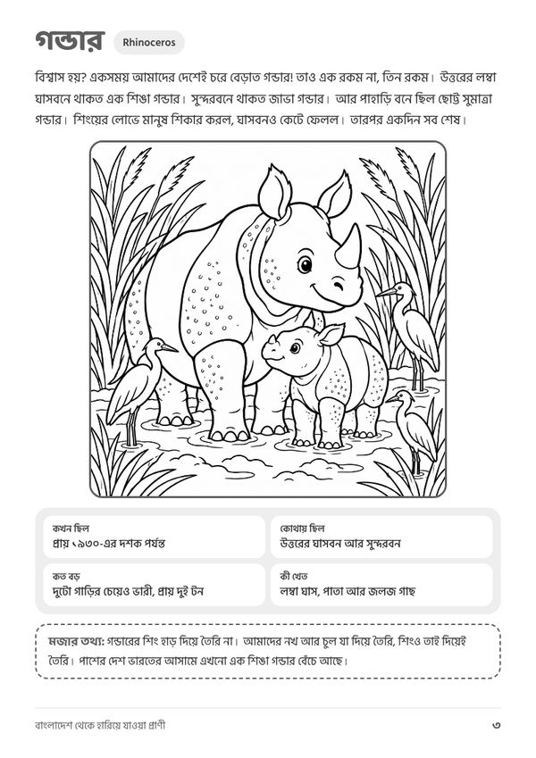 A colouring page from Bangladesh Theke Hariye Jawa Prani, a mother rhino and her calf
